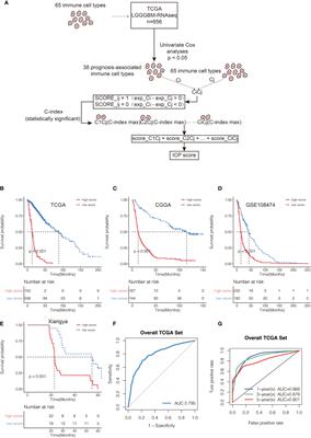 Novel Immune Infiltrating Cell Signature Based on Cell Pair Algorithm Is a Prognostic Marker in Cancer